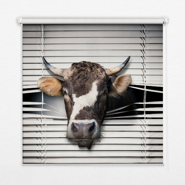 Rolgordijn voor het raam Koe