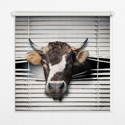 Rolgordijn voor het raam Koe