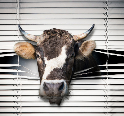 Rolgordijn voor het raam Koe