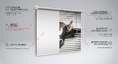 Rolgordijn voor het raam Koe