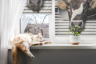 Rolgordijn voor het raam Koe