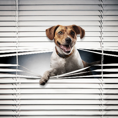 Rolgordijn voor het raam Hond