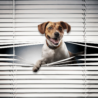 Rolgordijn voor het raam Hond