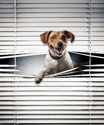 Rolgordijn voor het raam Hond