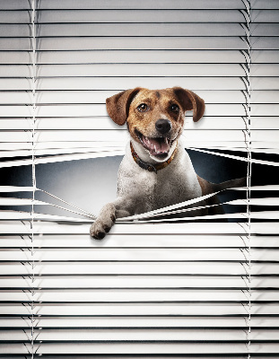 Rolgordijn voor het raam Hond