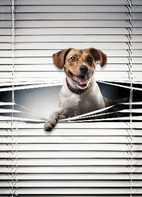 Rolgordijn voor het raam Hond