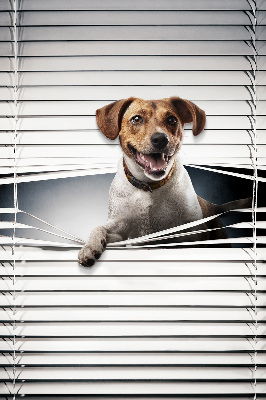 Rolgordijn voor het raam Hond