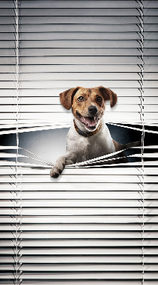 Rolgordijn voor het raam Hond