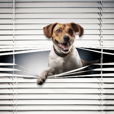 Rolgordijn voor het raam Hond