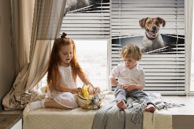 Rolgordijn voor het raam Hond