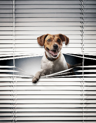 Rolgordijn voor het raam Hond