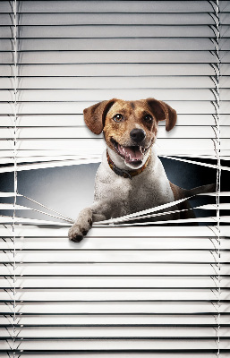 Rolgordijn voor het raam Hond