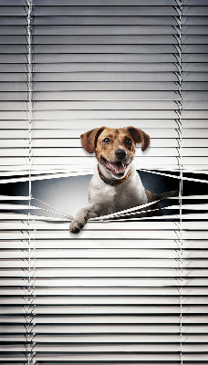 Rolgordijn voor het raam Hond