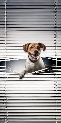 Rolgordijn voor het raam Hond