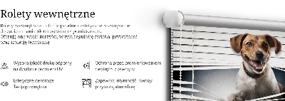 Rolgordijn voor het raam Hond