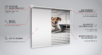 Rolgordijn voor het raam Hond