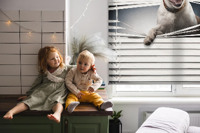 Rolgordijn voor het raam Hond