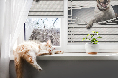 Rolgordijn voor het raam Hond