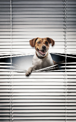 Rolgordijn voor het raam Hond