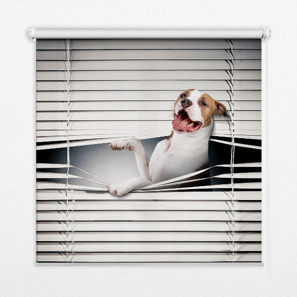 Rolgordijn verduisterend Hond