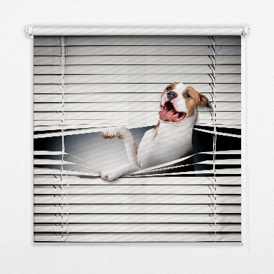 Rolgordijn verduisterend Hond