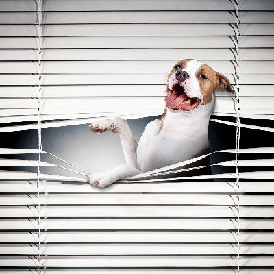 Rolgordijn verduisterend Hond