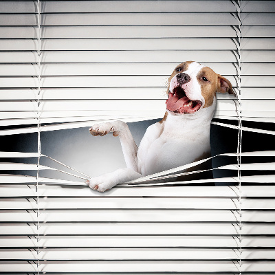 Rolgordijn verduisterend Hond