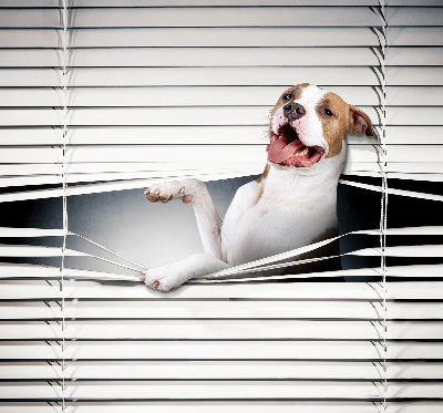 Rolgordijn verduisterend Hond