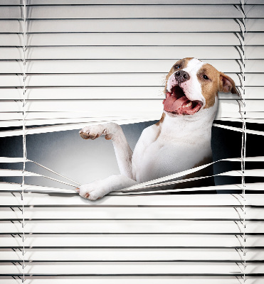 Rolgordijn verduisterend Hond