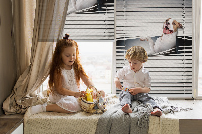 Rolgordijn verduisterend Hond