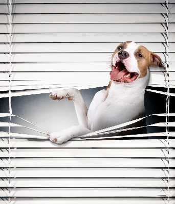 Rolgordijn verduisterend Hond