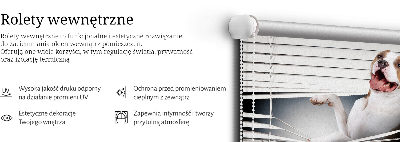 Rolgordijn verduisterend Hond