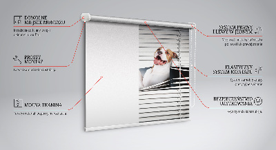 Rolgordijn verduisterend Hond