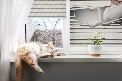 Rolgordijn verduisterend Hond