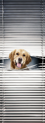 Rolgordijn voor het raam Gouden Hond