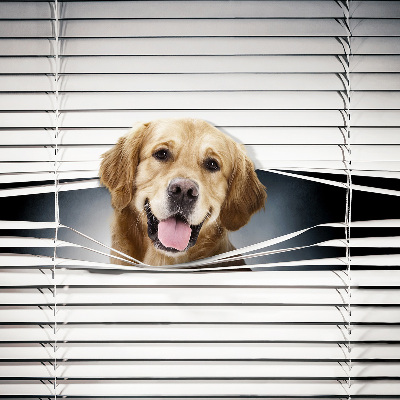 Rolgordijn voor het raam Gouden Hond