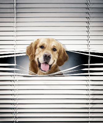 Rolgordijn voor het raam Gouden Hond