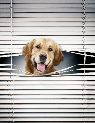 Rolgordijn voor het raam Gouden Hond