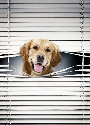 Rolgordijn voor het raam Gouden Hond