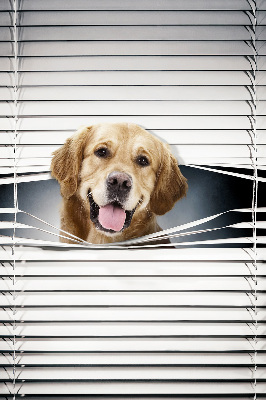 Rolgordijn voor het raam Gouden Hond