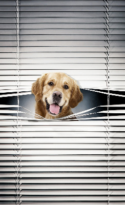 Rolgordijn voor het raam Gouden Hond