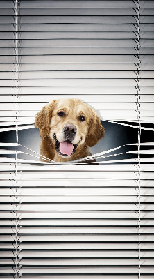 Rolgordijn voor het raam Gouden Hond