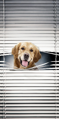 Rolgordijn voor het raam Gouden Hond