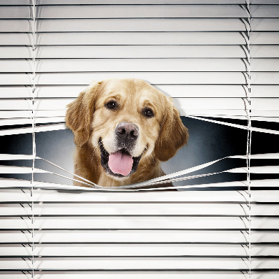 Rolgordijn voor het raam Gouden Hond