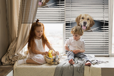 Rolgordijn voor het raam Gouden Hond
