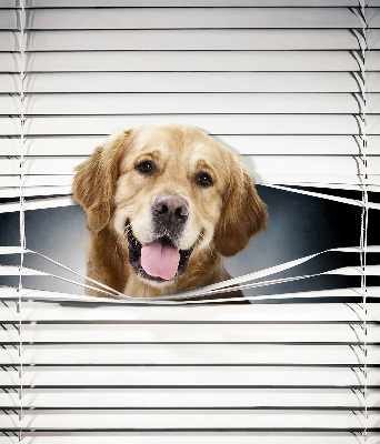 Rolgordijn voor het raam Gouden Hond