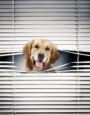 Rolgordijn voor het raam Gouden Hond