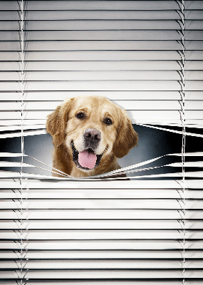 Rolgordijn voor het raam Gouden Hond