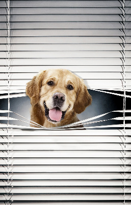 Rolgordijn voor het raam Gouden Hond