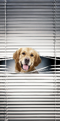 Rolgordijn voor het raam Gouden Hond